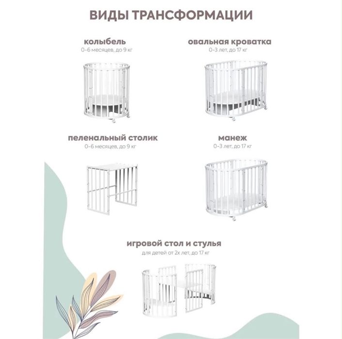 Манеж полный жасауымен