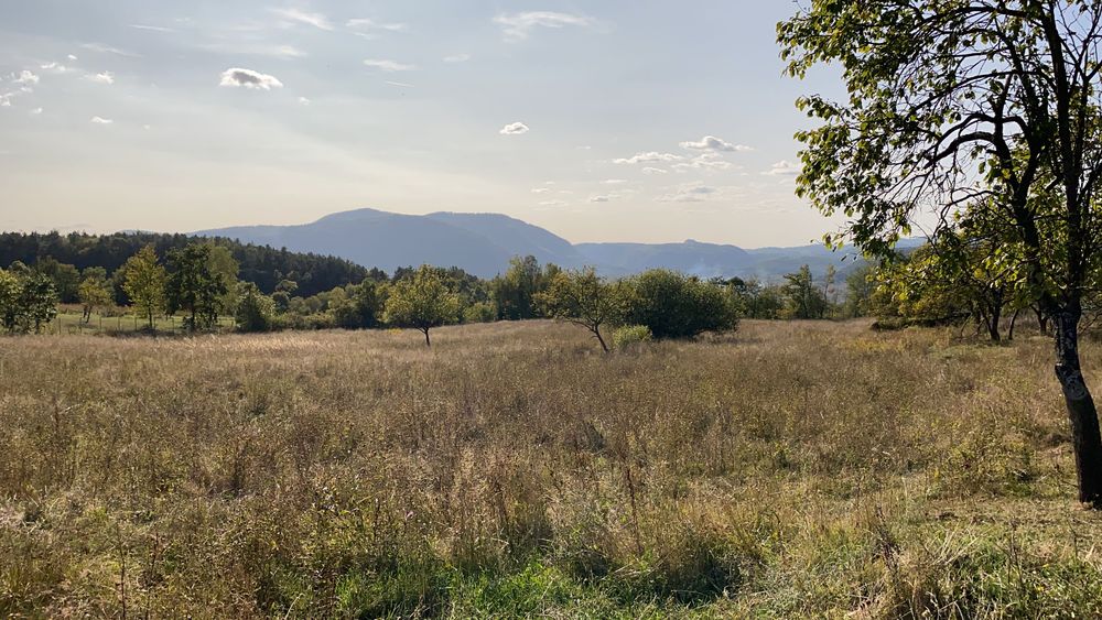 Teren Intravilan, teren agricol pădure   în Hărțăgani peisaj frumos
