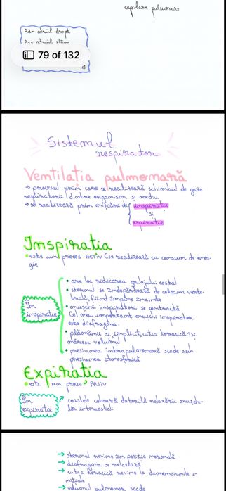 Dosar bac biologie Anatomie