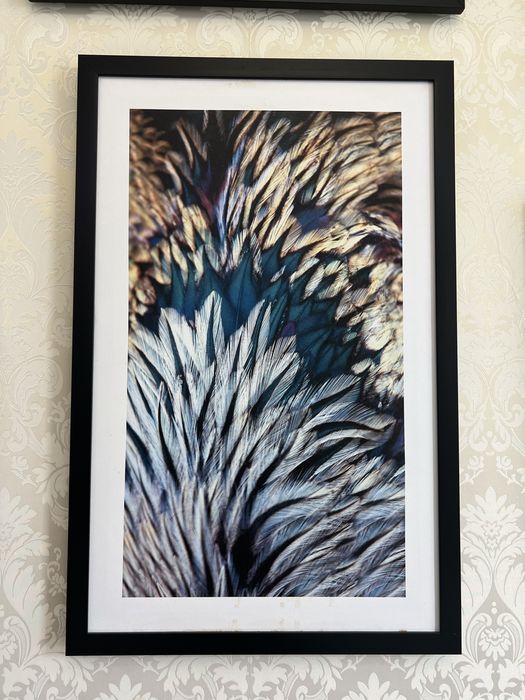 Картины стильные