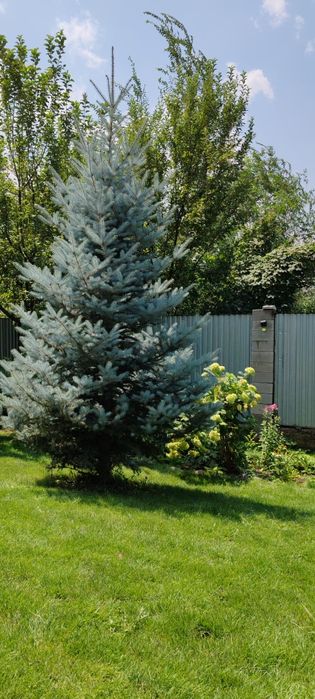 Услуги Садовника