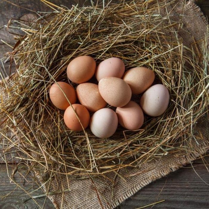 Qora tovuq uy tuxumlari sotiladi