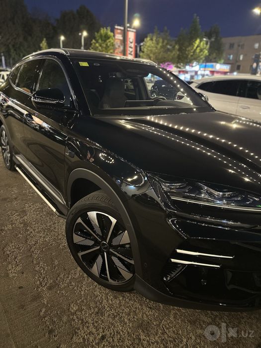BYD Chempion Smart 2025 Yil