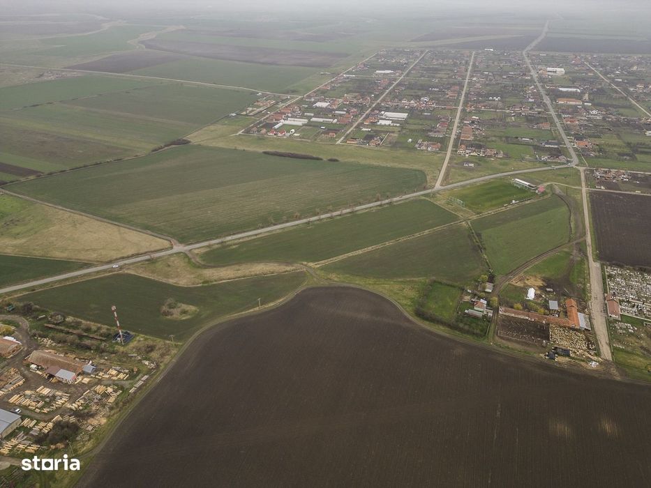 Teren 76.000mp între Sântana și Caporal Alexa