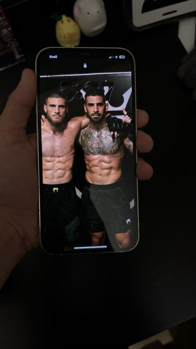 iphone 12 pro max, 256Gb