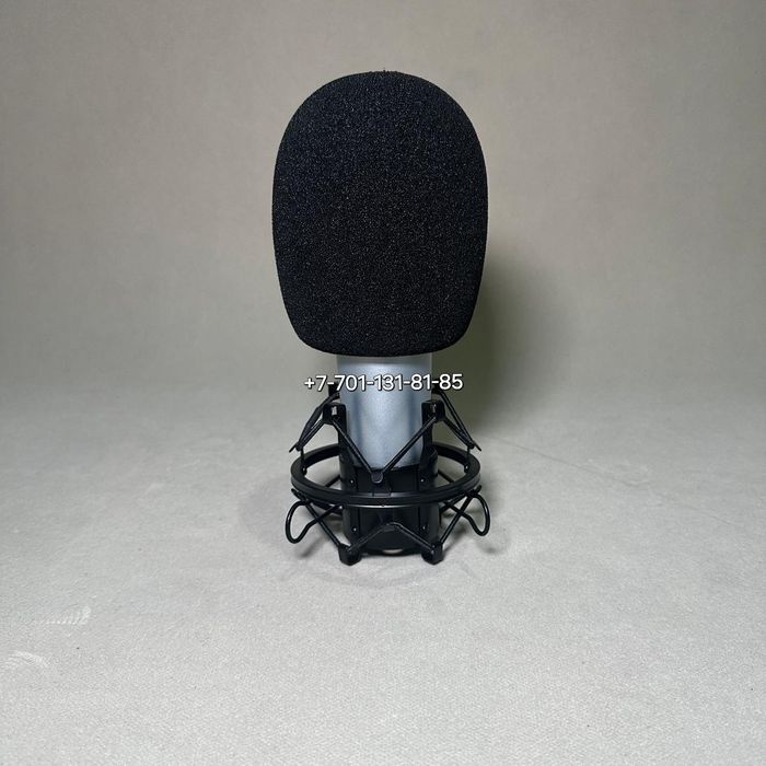 Студийный микрофон TAKSTAR SM10B