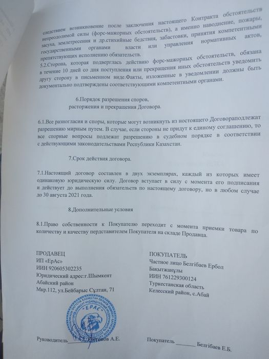 Куры Несушка Коралл