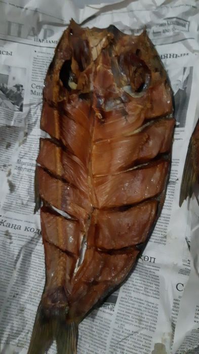 Капченный Толстолоб,Жерих