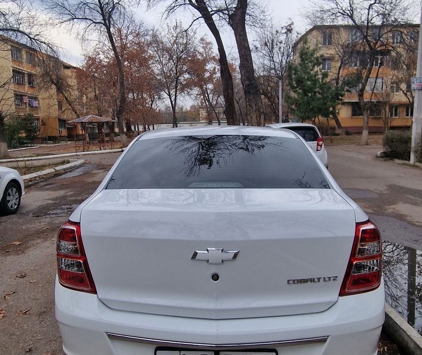 Cobalt 4-pozitsiya/2020