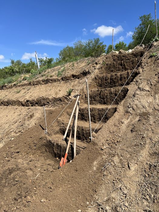 Празно дворно място