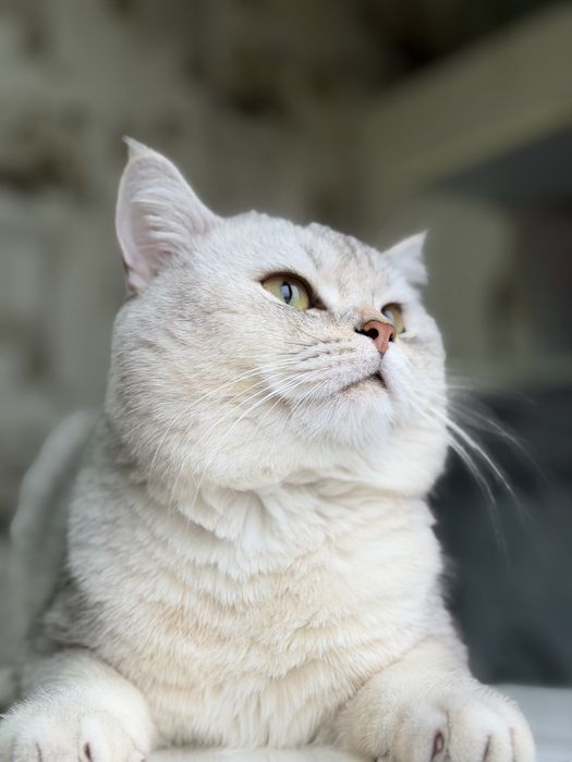 Вязка не продаётся