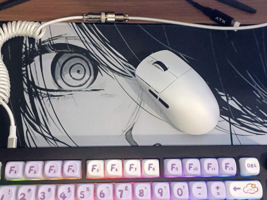 VXE R1 SE+ PAW 3395 SE игровая мышь  (Long Battery) + Грипсы и Глайды.