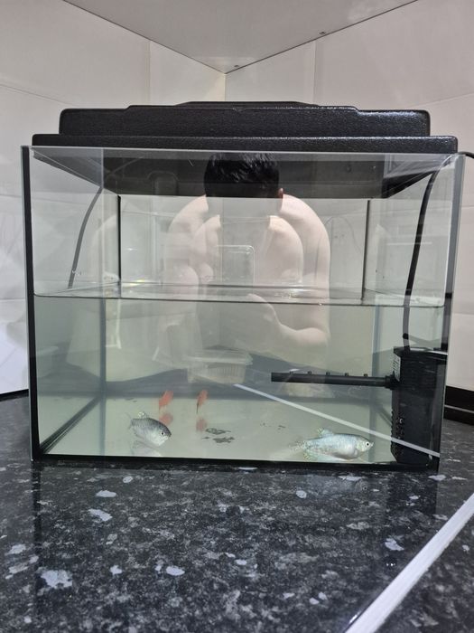 Аквариум в хорошем состоянии. С рыбкой.