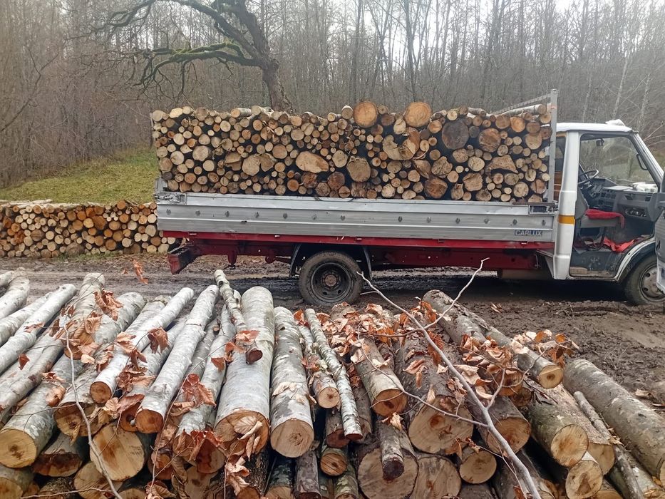 Lemn de foc Uscate Pădurea bogați