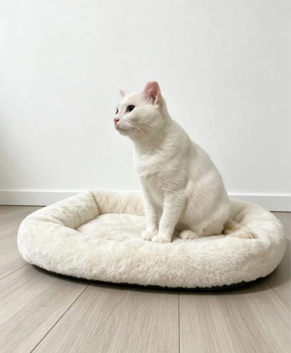 Белоснежная кошечка