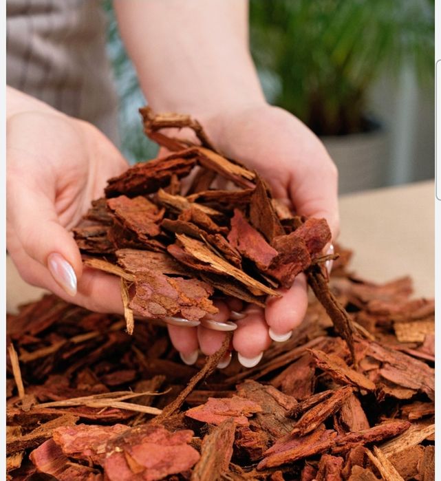 Кора лиственницы | Мульча