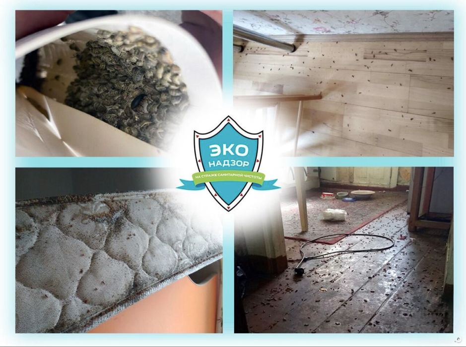 Кішкентай қызбен жыныстық қатынас, дефлорация