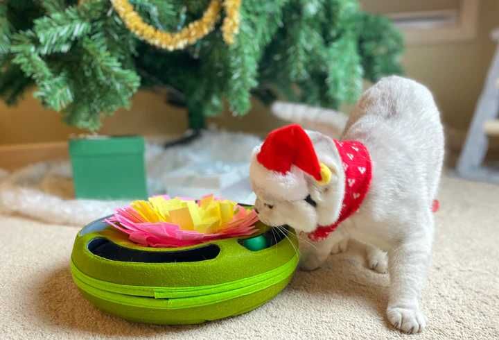 Игра за котки- пъзел - Cat Puzzle Toy