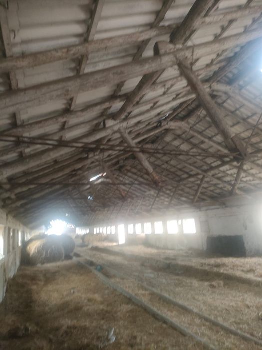Vand ferma cu 2 grajduri (65 x 13)  fiecare. Suprafață totală 4500m2.