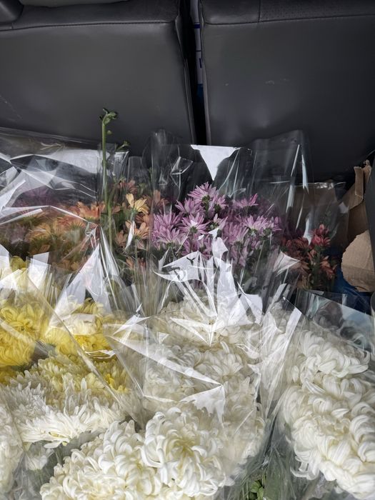 Хризантемы разных сортов