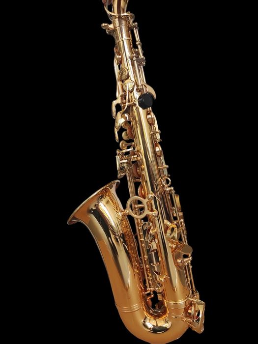 Set Saxofon Alto Parrot ZL118 Auriu