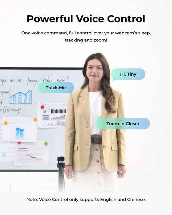 OBSBOT Tiny 3 Lite AI-Powered Spatial Audio 4K Webcam