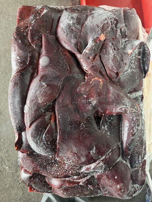 Печень свиная опт