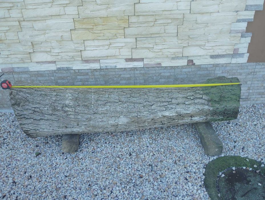 Орехов ствол за продажба