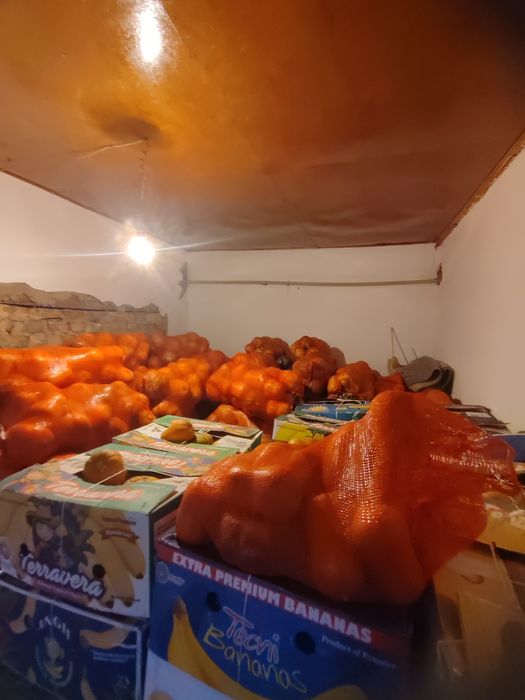 Асқабақ    тыква