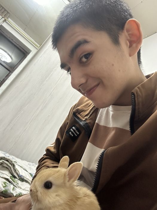 Basmala Farm’dan nafis va mehribon quyonchalar!