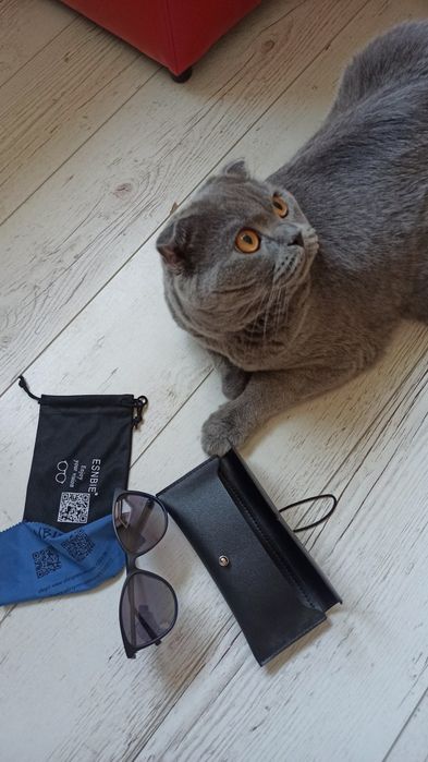 Ochelari femei Cat Eye clip on