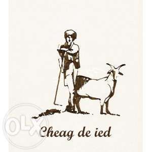 Vindem cheag natural de ied sau de miel