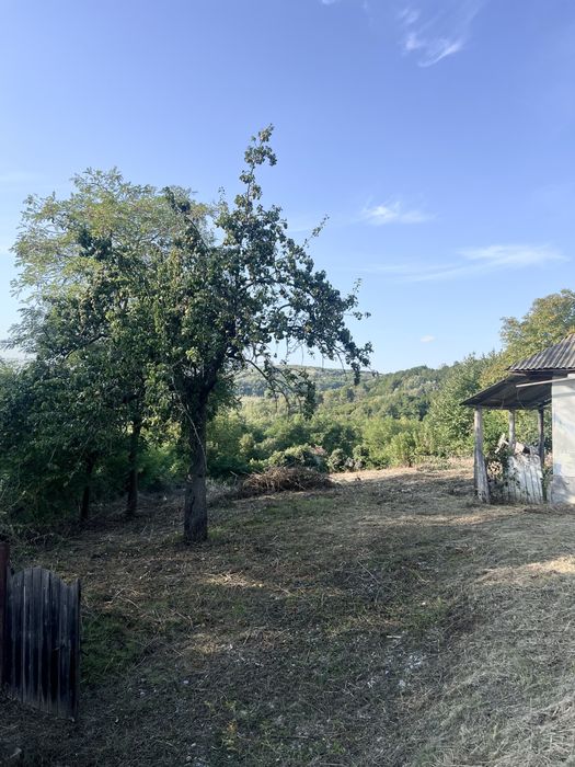 Teren intravilan Dobrovat