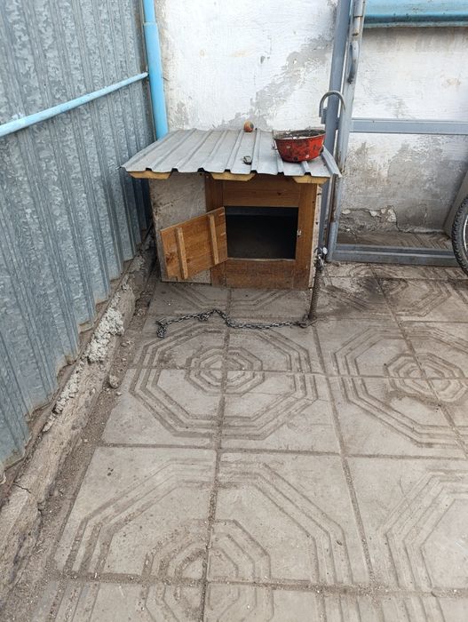 Продам будку для собаки
