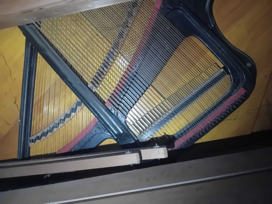 Пияно неизползвано