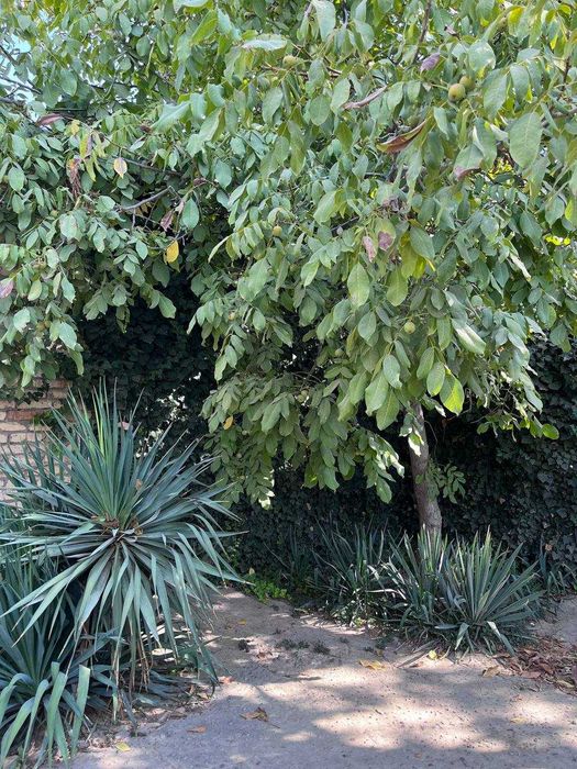 Продается дом в хорошем состоянии 8 комнат в г. Сырдарья