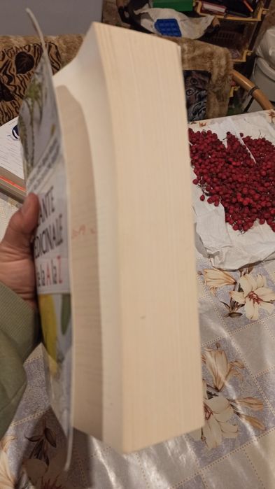 Plantele medicinale de la A la Z