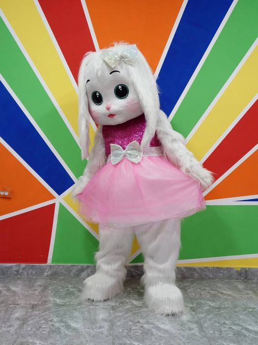 Ayiqlar sotiladi optom