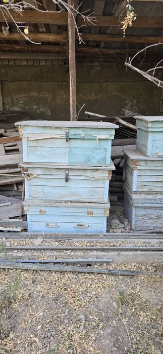 Асалари уйаси яшшик сотилади