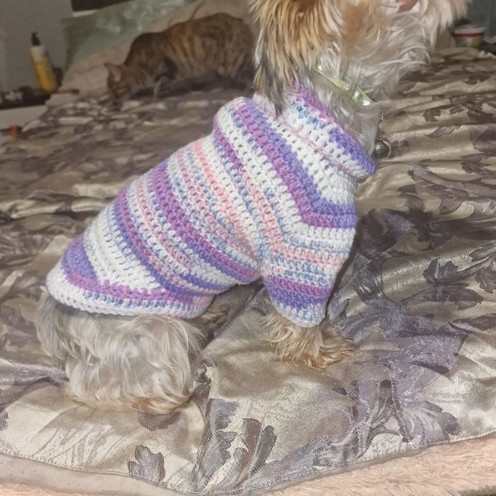 Свитерки для собак своими руками