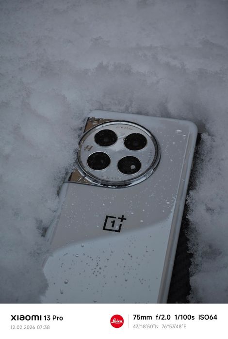 Oneplus 12 12/256гб