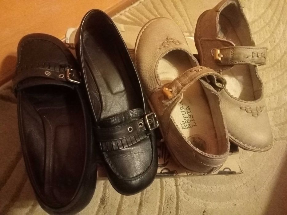 El Naturalista 37, Salamander 38, Fusta S.Oliver, 38