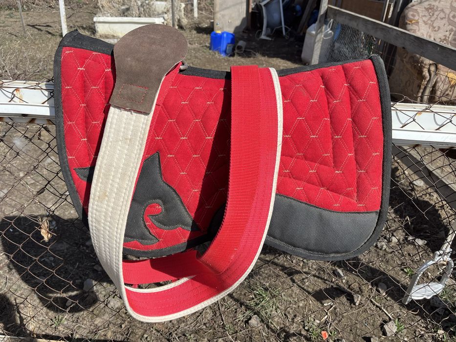 Ертоқым, ат әбзелі