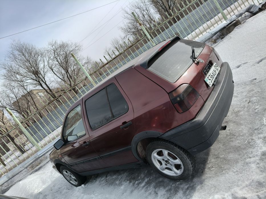 Гольфик рабочий живой