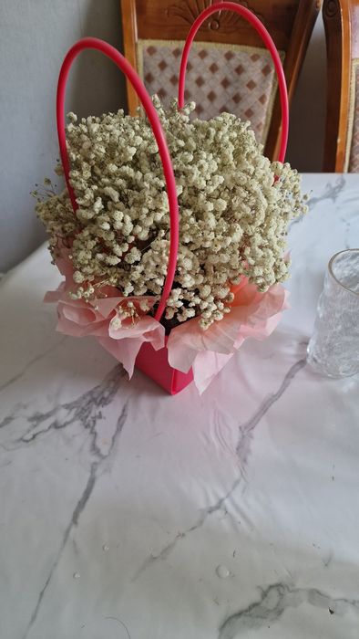 Цветы  Гипсофила