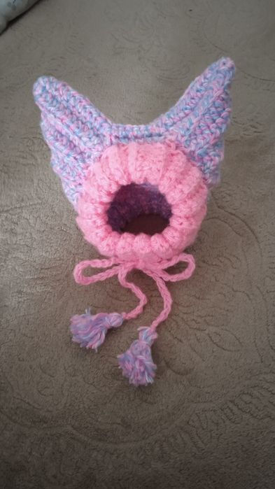 Шапочки для собак