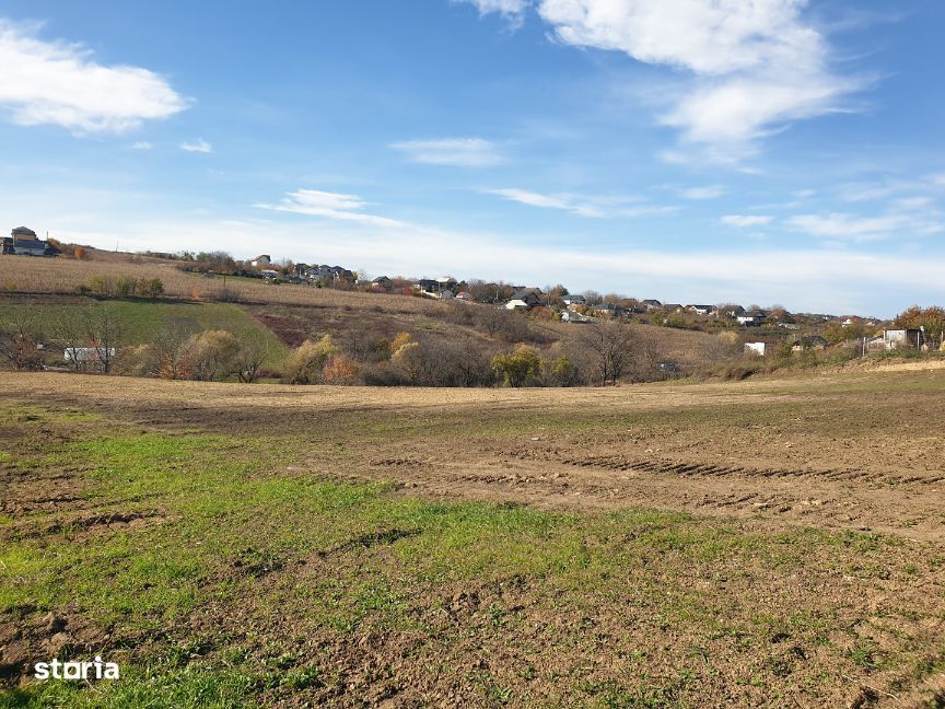 MIROSLAVA - IASI - Loturi teren intravilan - zona Notariat I. Paduraru