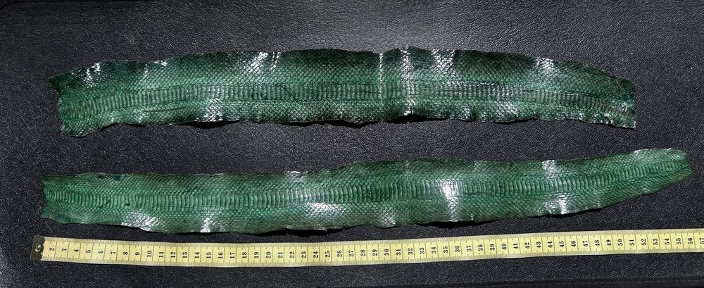 Fasie piele naturala de sarpe verde galben geanta portofel pantofi