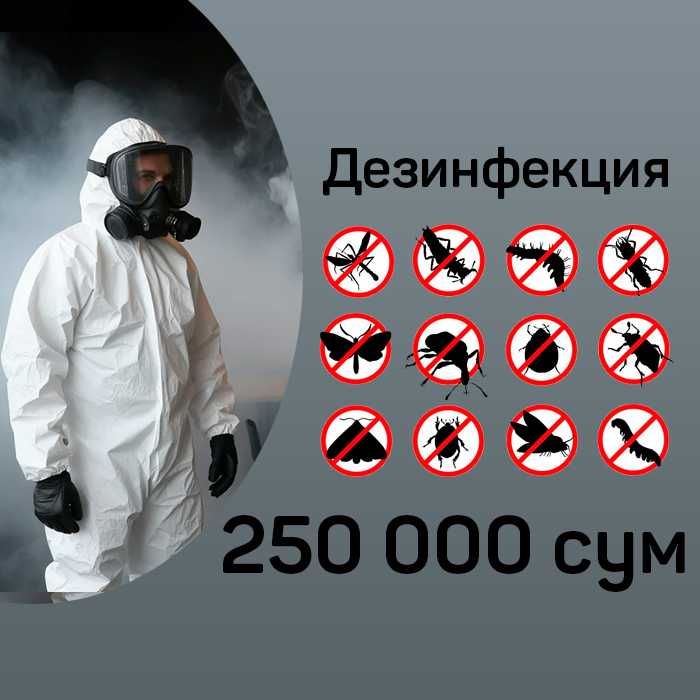 Dezinfeksiya dezenfeksiya Уничтожение тараканов клопов Дезинфекция