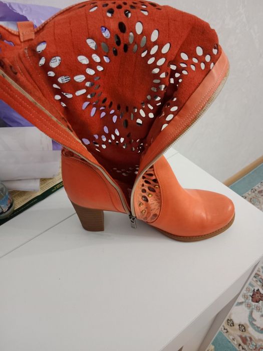 Женские сапоги весна осень